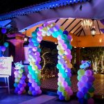 Welcome to Arpora Hills The Birthday Party Planners
